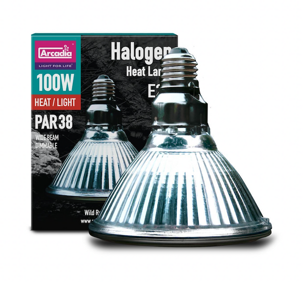 Halogen Heat Lamp, 100 Watt