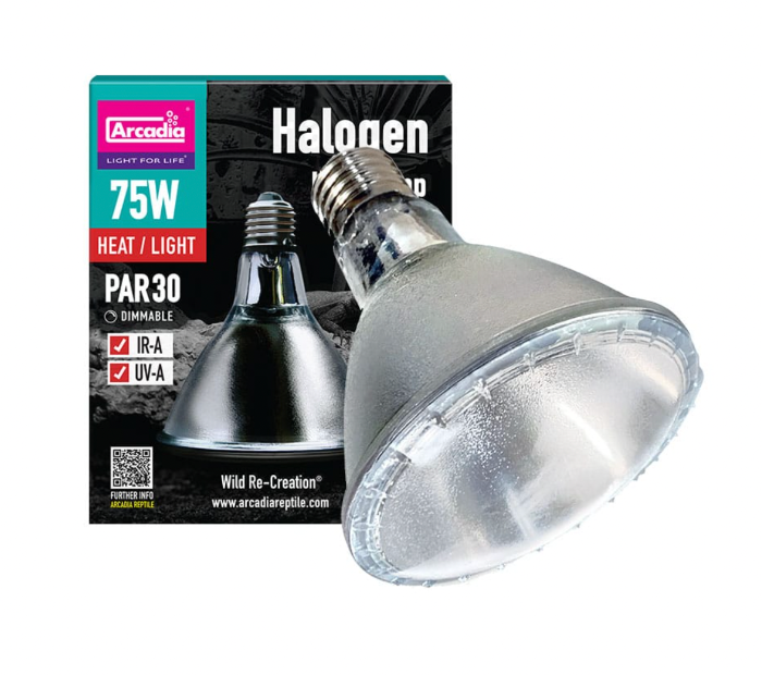 Halogen Heat Lamp 75 Watt