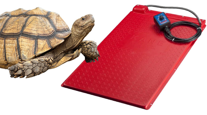 Kane Heat Mats: A Perfect Solution for Reptile Heating