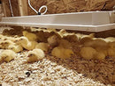 Radiant Heat Panel, Overhead Mount 11"x40"