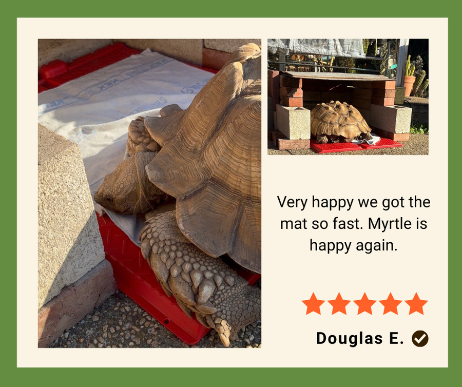 マットオニール ブルネット、レッドヘアー2体セット Kane Heat Mats - Indoor Outdoor Heating for Tortoise, Reptile, Kennel