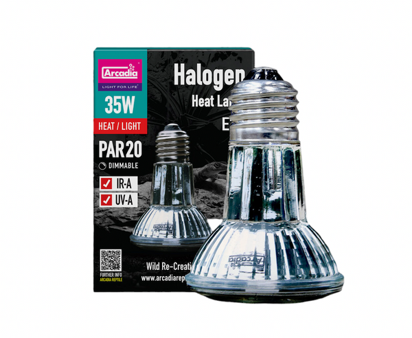 Halogen Heat Lamp, 35 Watt