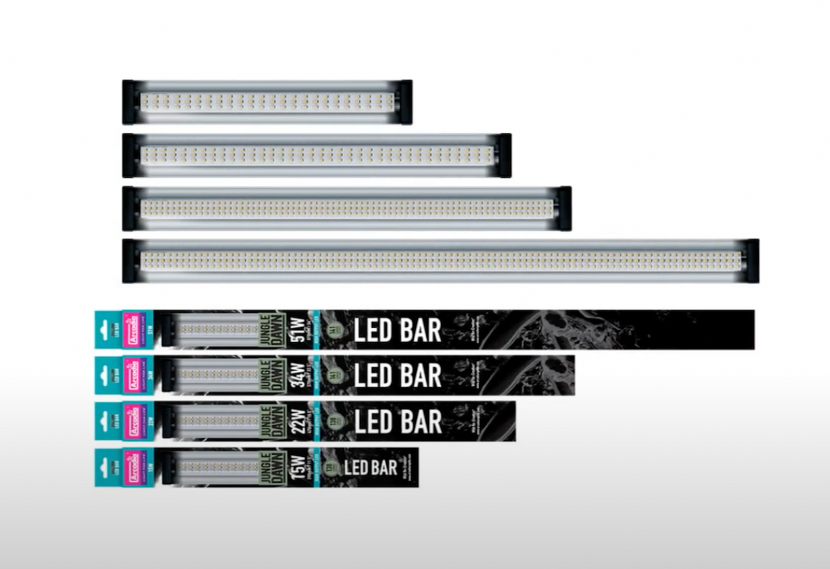 BeanFarm_Arcadia_JungleDawn2_f