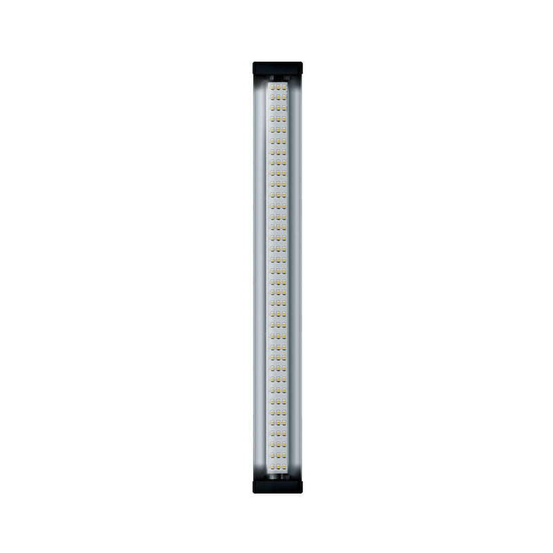 Jungle Dawn LED Bar (18