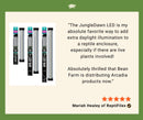 Jungle Dawn LED Bar (12", 15 Watt)