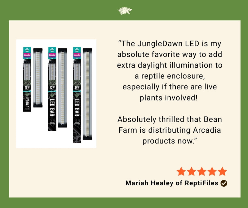 Jungle Dawn LED Bar (18