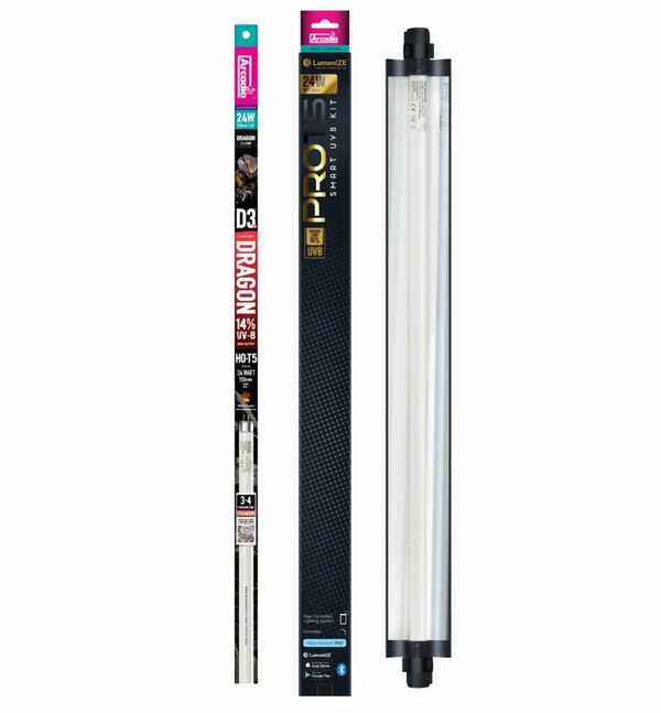 LumenIZE UVB Kit 24 with 14 Dragon Bulb