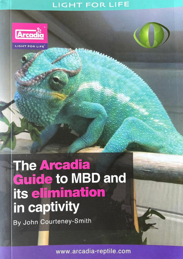 Cover image of book featuring a chameleon inside its enclosure.