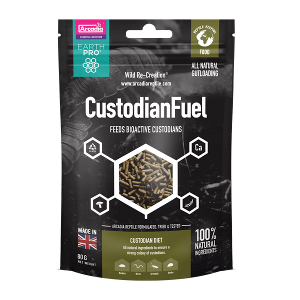 Arcadia gecko deals food