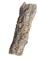 Premium Cork Bark Tubes, Large