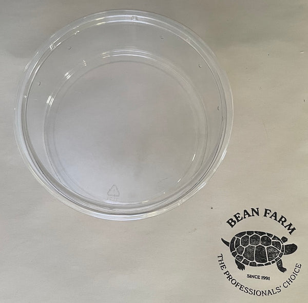 Pre-punched Clear PET Deli Cups and Lids, Solo 8 oz.