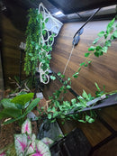 Radiant Heat Panel, Flush Mount for Reptile Enclosure (14"x21")