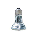 GoldenSun Basking Halogen Heater, 35 watt