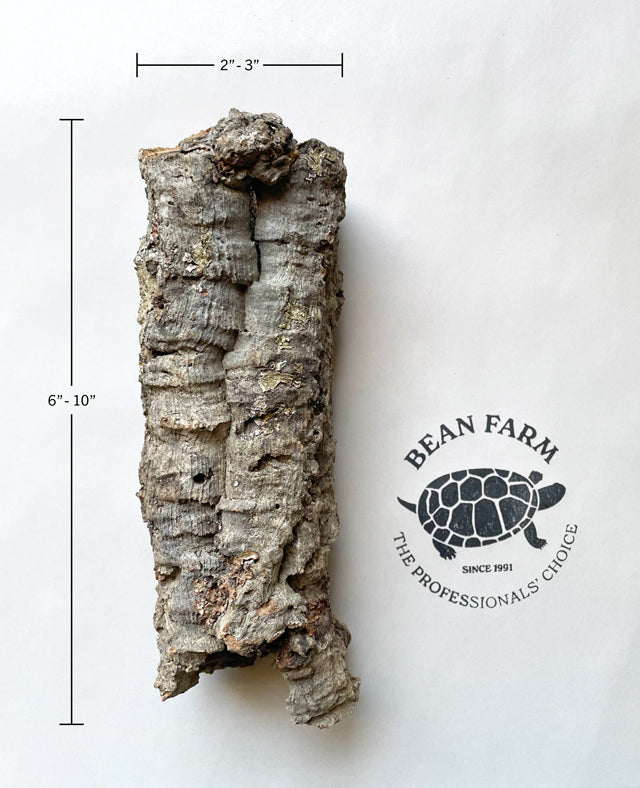 Premium Cork Bark Tubes, Extra Small