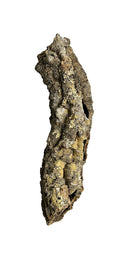 Premium Cork Bark Tubes, Small