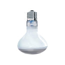 GoldenSun Basking Flood, 100 Watt