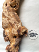 Mopani Wood for Terrarium or Aquarium