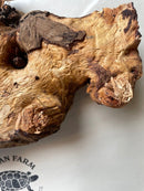 Mopani Wood for Terrarium or Aquarium