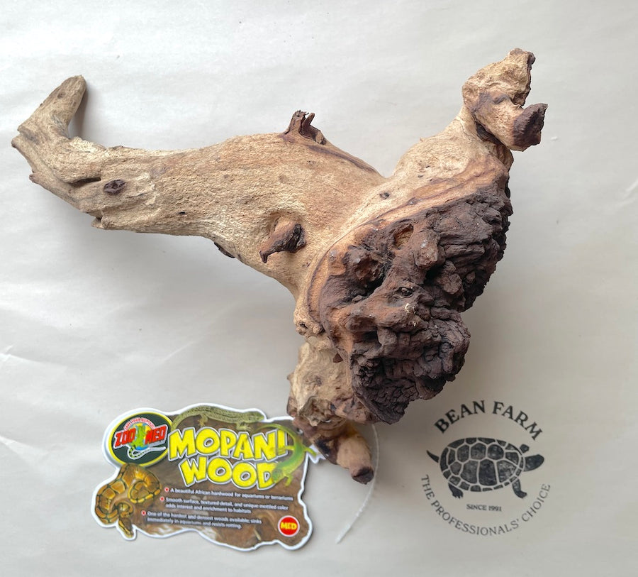 Mopani Wood for Terrarium or Aquarium