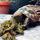 Optimised52 Tortoise Diet