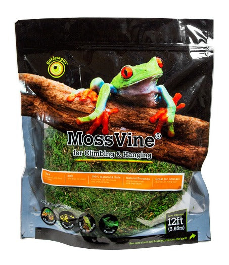 Moss Vine - bean-farm