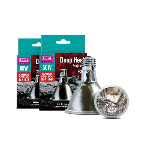 50 watt heat bulb new arrivals
