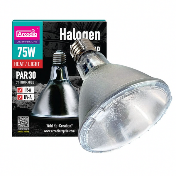 Halogen Heat Lamp 75 Watt