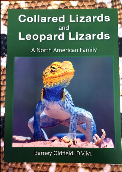 Collared Lizards and Leopard Lizards: A North American Family