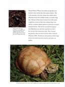 The Complete North American Box Turtle