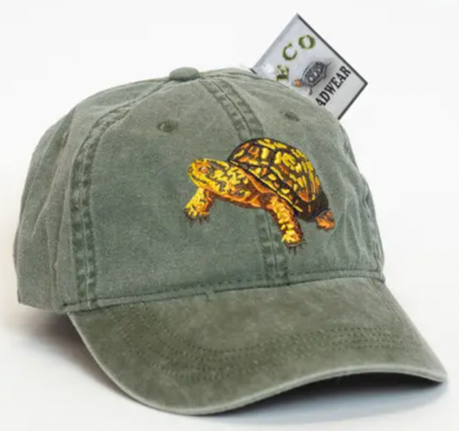 North American Box Turtle Cap