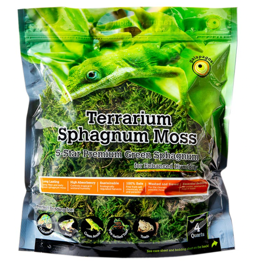 Green Sphagnum Moss, 4qt Resealable Bag