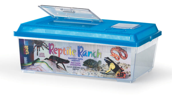 Rectangle Reptile Ranch, Large