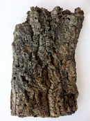 cork bark flat top view