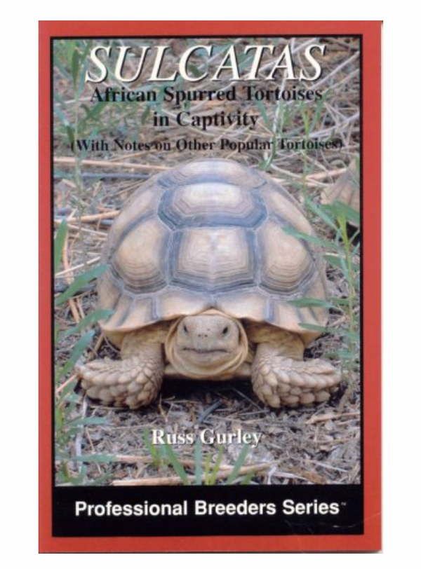 Sulcatas: African Spurred Tortoises