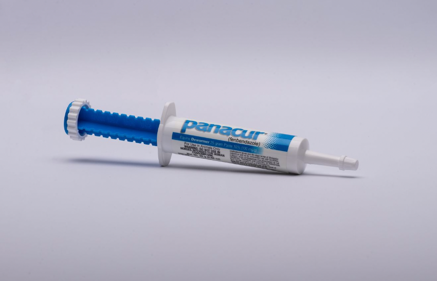 ReptileSafe Panacur (Fenbendazole) Dewormer Paste, 25 gram 10