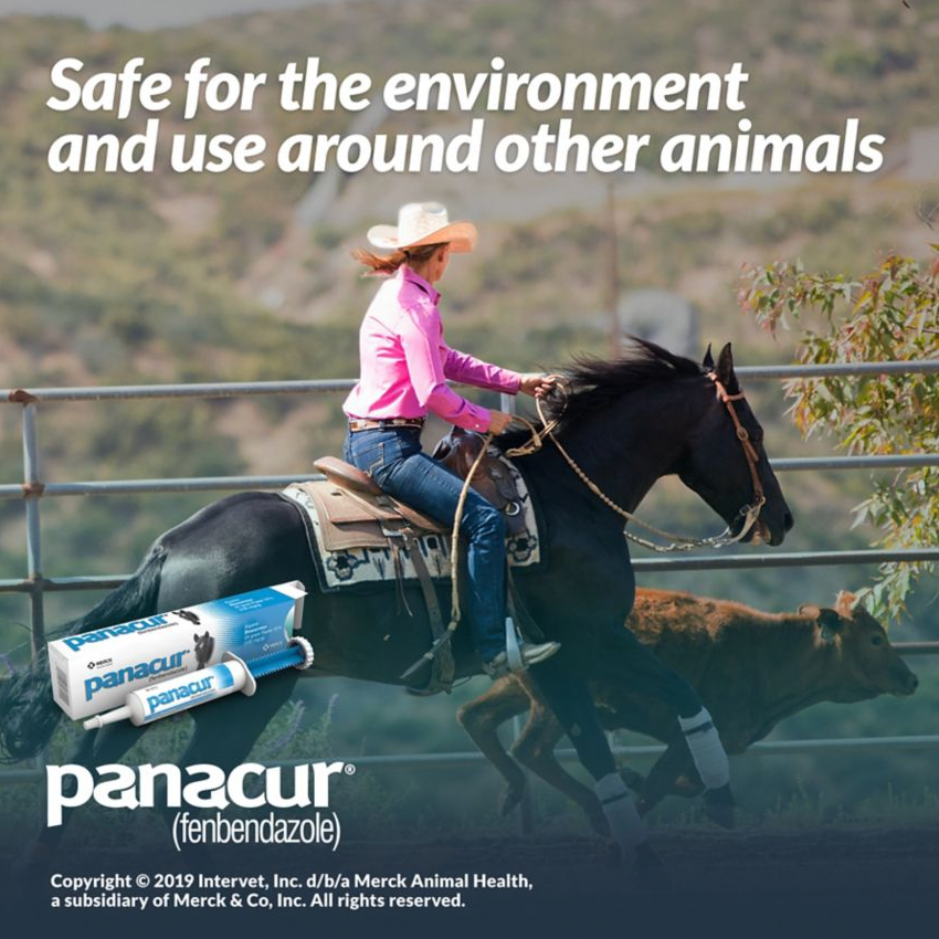 ReptileSafe Panacur (Fenbendazole) Dewormer Paste, 25 gram 10