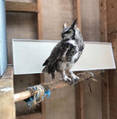 Radiant Heat Panel, Side Mount 11"x30"