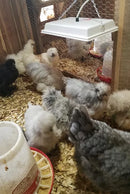 Radiant Heat Panel, Overhead Mount 11"x11"