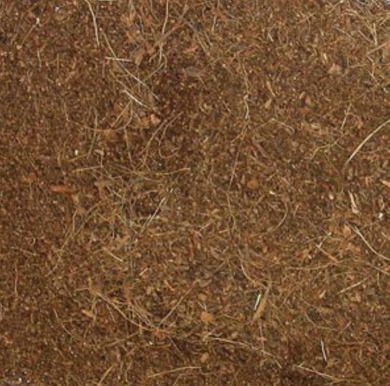 Calcium Free Sand Zoo Med Eco Earth Coconut Fiber Substrate - 8 Quart ...