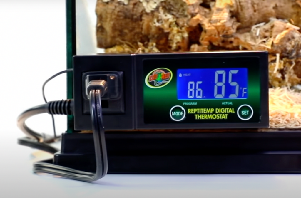 Reptitemp thermostat 2024