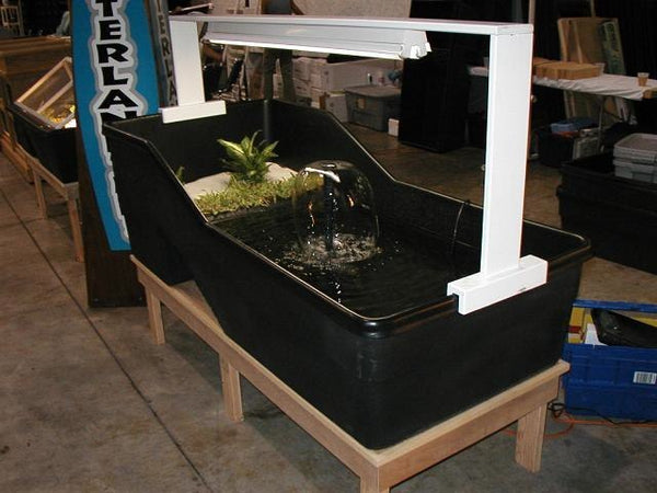 Medium Water Enclosure for Reptiles and Turtles