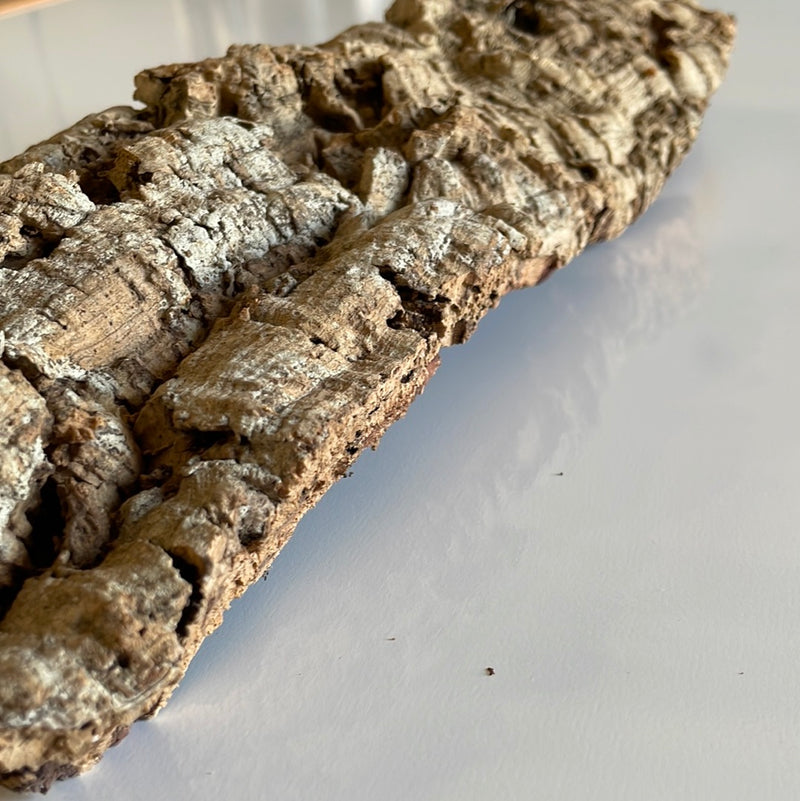 cork bark flat side view