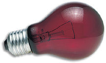 Red Light Bulb - 60 watt - bean-farm